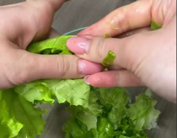 Легкий салат с куриной печенью