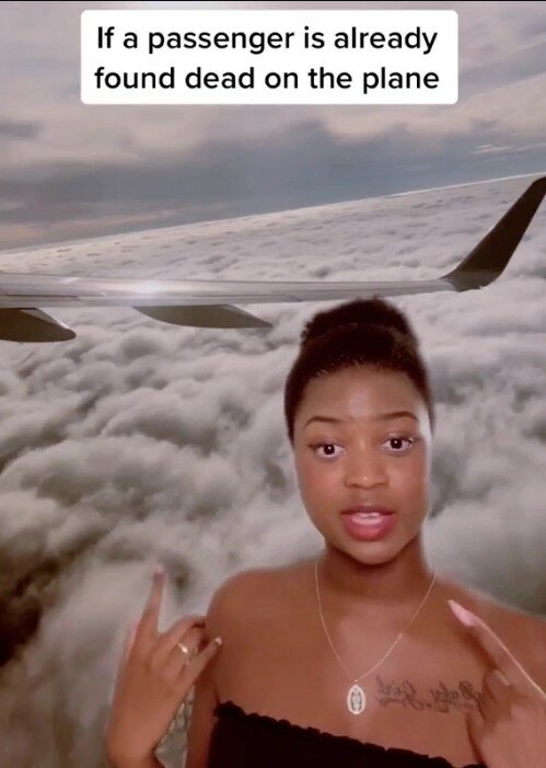 стюардеса рассказала об инструкциях на случай смерти пассажира