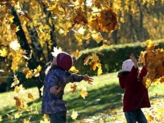 Осень, фото из свободных источников