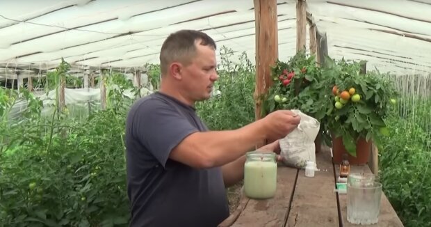 Добриво кефіром