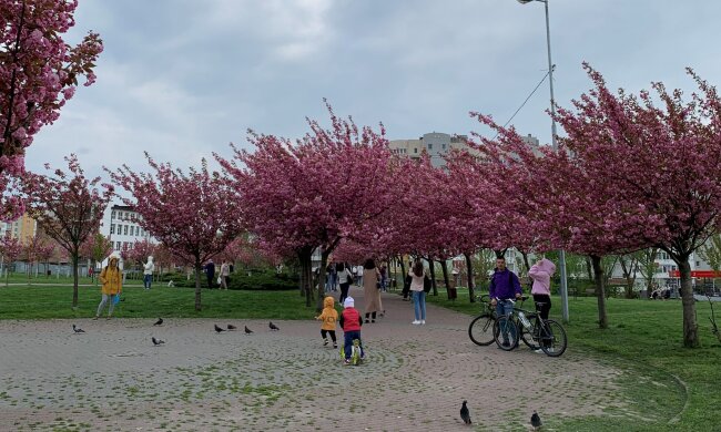 Весна в Україні, фото із соцмереж