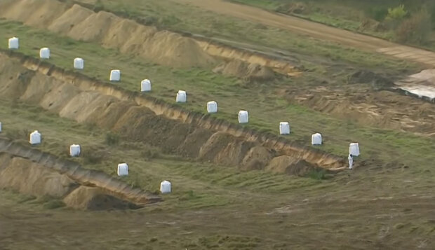 винищені данські норки почали вставати з могил