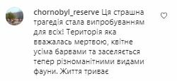 Коментарі на пост Лесі Нікітюк в Instagram