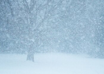 Погода, снегопад, зима