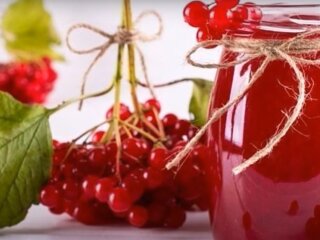 Калина: скрін з відео