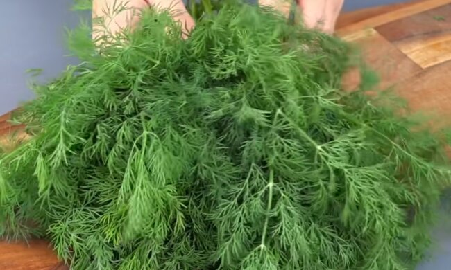 Укроп, кадр из видео
