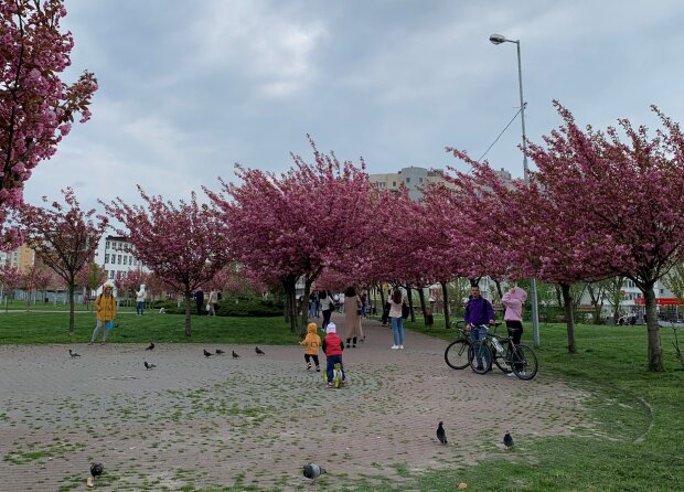 Весна в Украине, фото из соцсетей