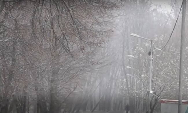 Погода в Украине, фото: кадр из видео
