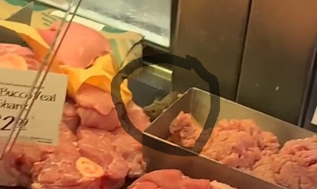 мышь обедала мясом прямо на прилавке