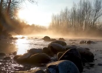 Весна: скрин с видео