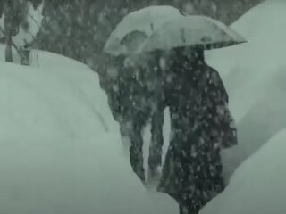 Погода, снігопад, зима