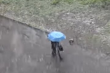 Погода