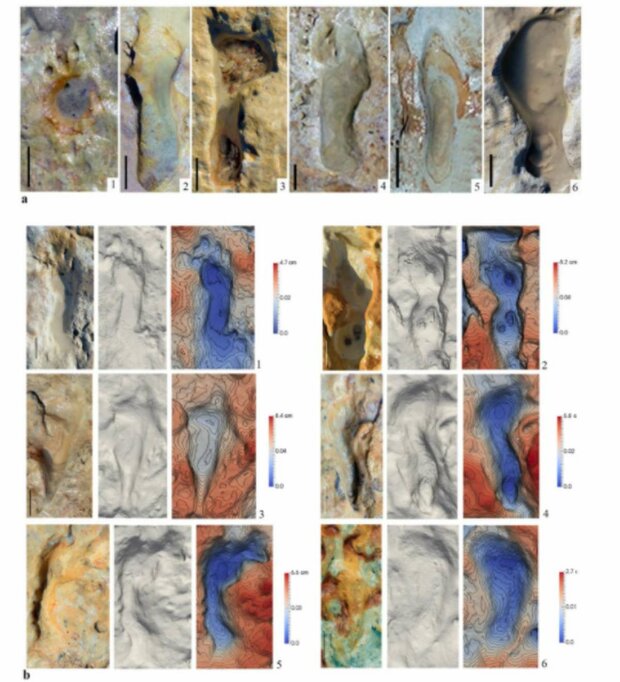 Археологические раскопки