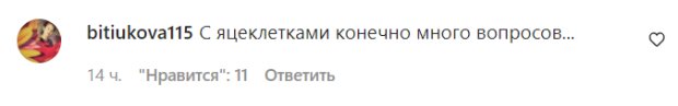 Коментарі з фан-сторінки Алли Пугачової в Instagram