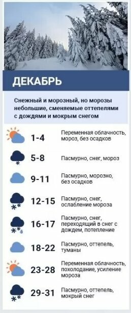 Аномальний прогноз погоди від синоптиків: сніг у жовтні та "бабине літо" у грудні