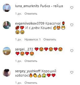 Коментарі зі сторінки Христини Асмус в Instagram