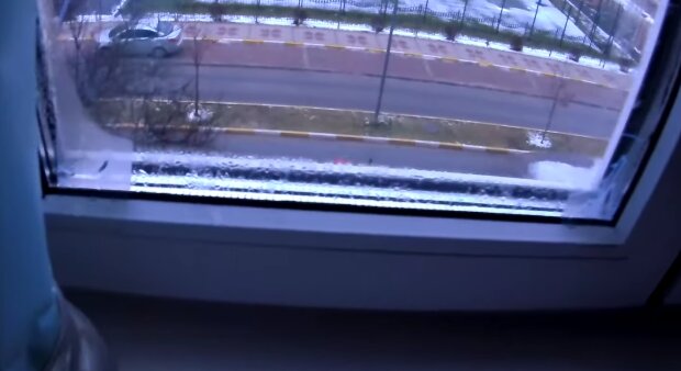 Окна, конденсат, плесень