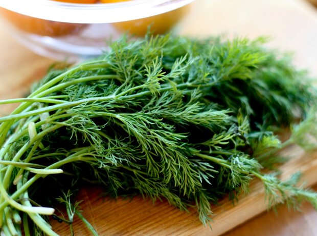 Кріп, фото з вільних джерел