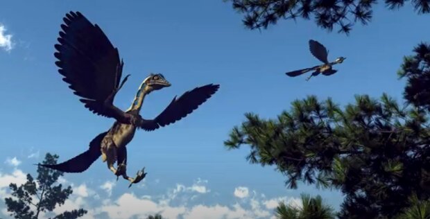Схожий на курку: вчені розкопали новий вид динозавра