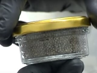 Икра в Украине, скриншот с видео