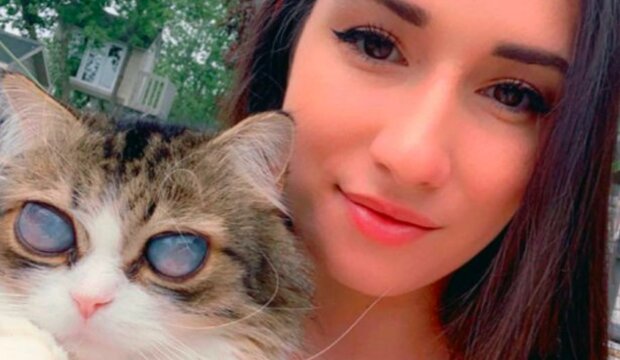 Фото Марі з сліпого кота