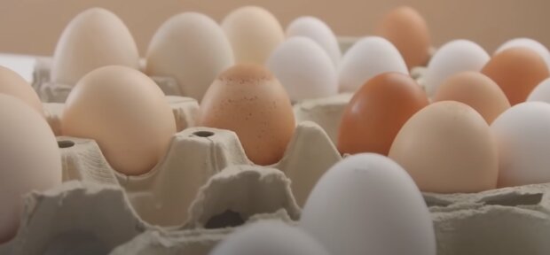 Яйца: скрин с видео