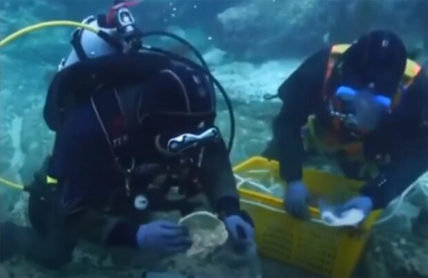 Дослідники випадково натрапили на унікальний скарб