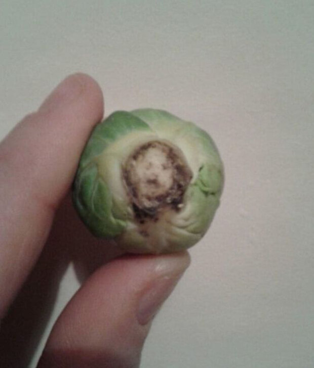 Жінка виявила лик Христа на брюссельській капусті