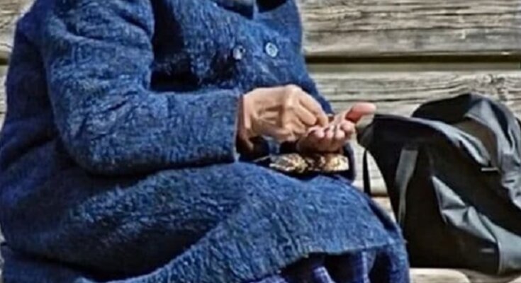 Пенсионер, пенсии, выплаты