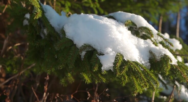 Погода, потепління