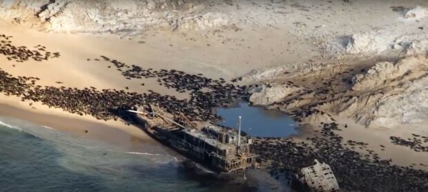 затонувшие корабли "берега скелетов"