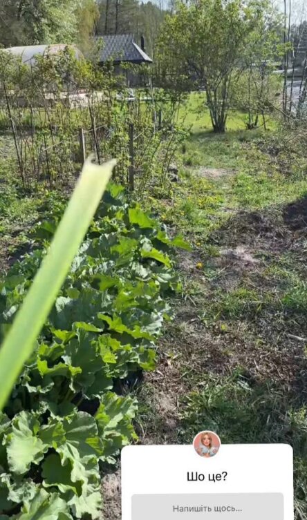 Скрин публікації Олі Полякової