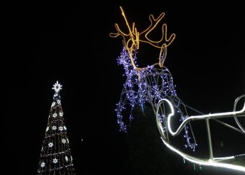 Ялинка у Києві, фото із соцмереж