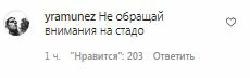 Комментарии на пост Ксении Мишиной в Instagram