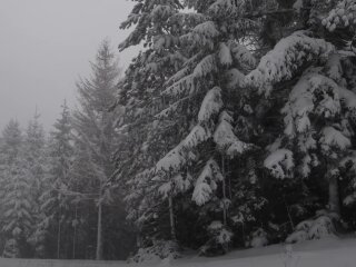 Снежная зима, скриншот из видео