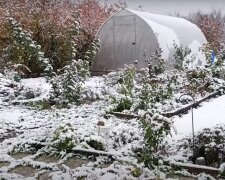 Город, зима