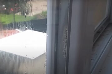 Окно, конденсат