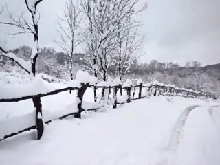 Погода, зима