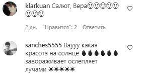 Коментарі на пост Віри Брежнєвої в Instagram