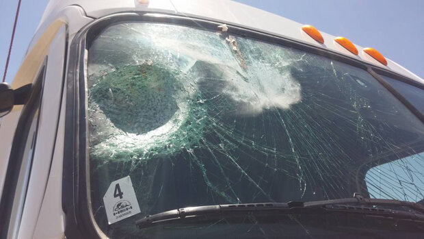 Що відбувається, коли на швидкості в лобове врізається птах