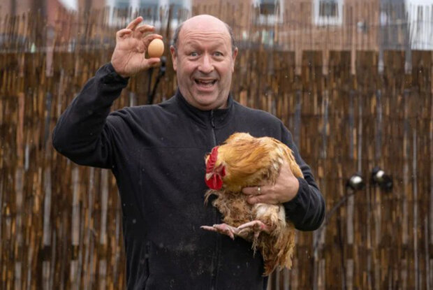 курица ставшая петухом