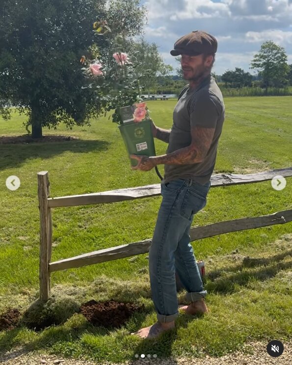 Скрин публикации Дэвида Бекхэма