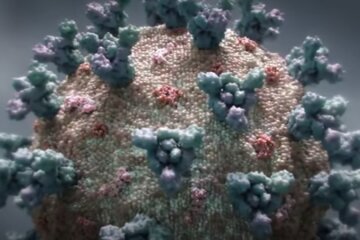 Коронавірус. Фото: скріншот відео
