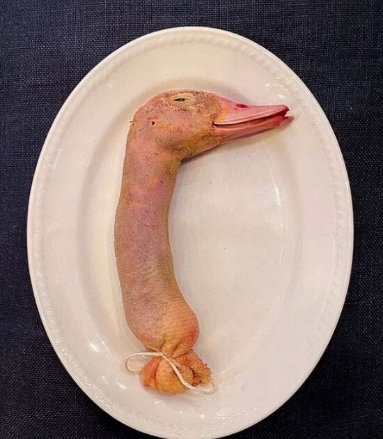 Фарширована голова качки