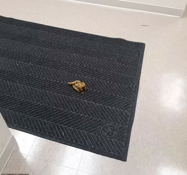 відходи на килимку