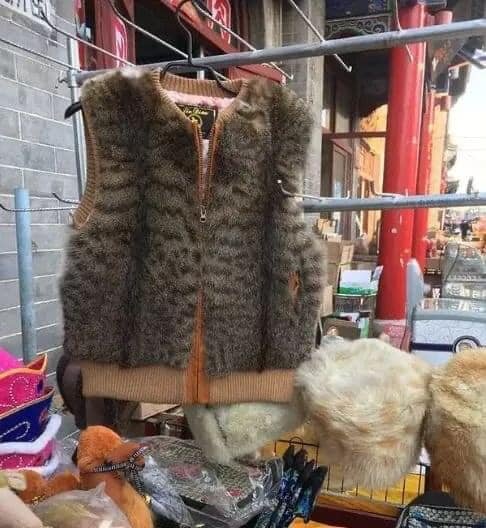 шуби та жилетки з котів у Китаї