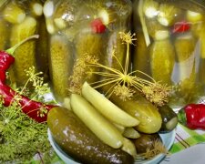 Квашеные огурцы на зиму