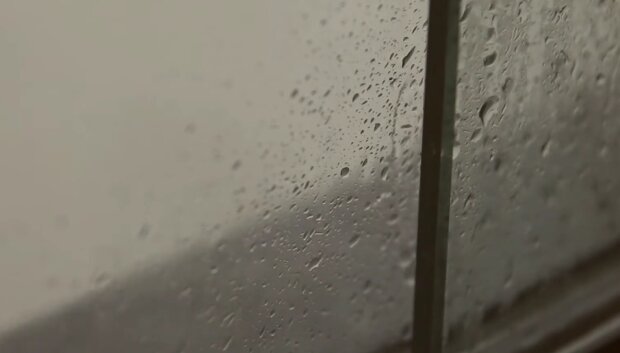 Окна, конденсат, плесень