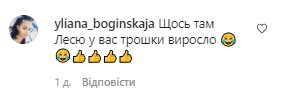 Комментарии со страницы Леси Никитюк в Instagram