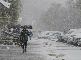 Прогноз погоды от синоптиков, иллюстративное фото, скриншот